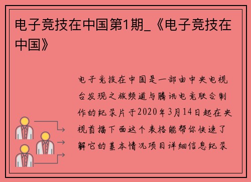 电子竞技在中国第1期_《电子竞技在中国》
